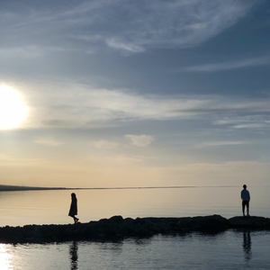 办公室刺激战场一共几集
