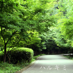 办公室刺激战场一共几集
